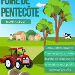 MONTAILLOU foire pentecote 25 mai 2026